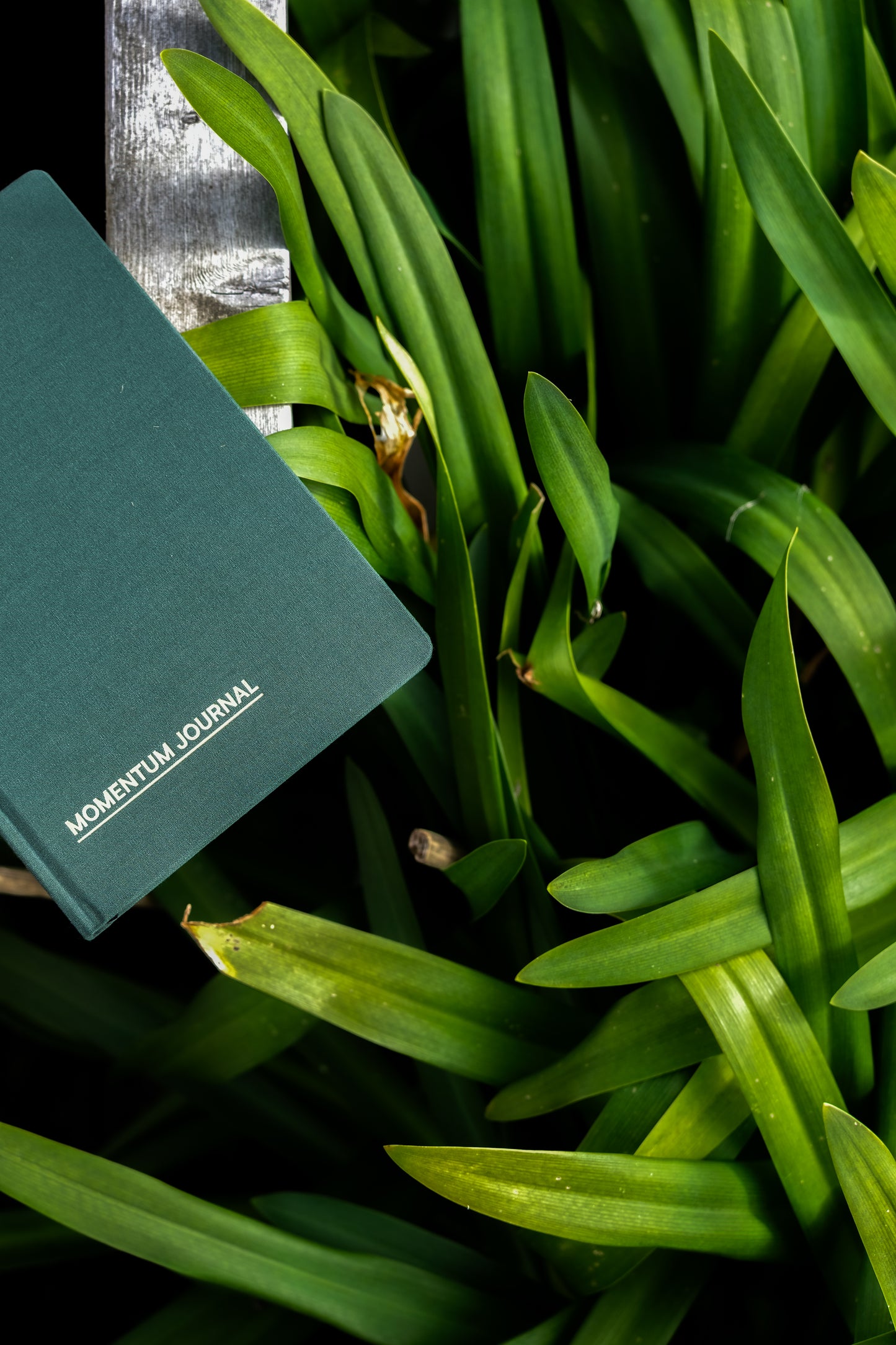 Momentum Journal - Emerald Haze